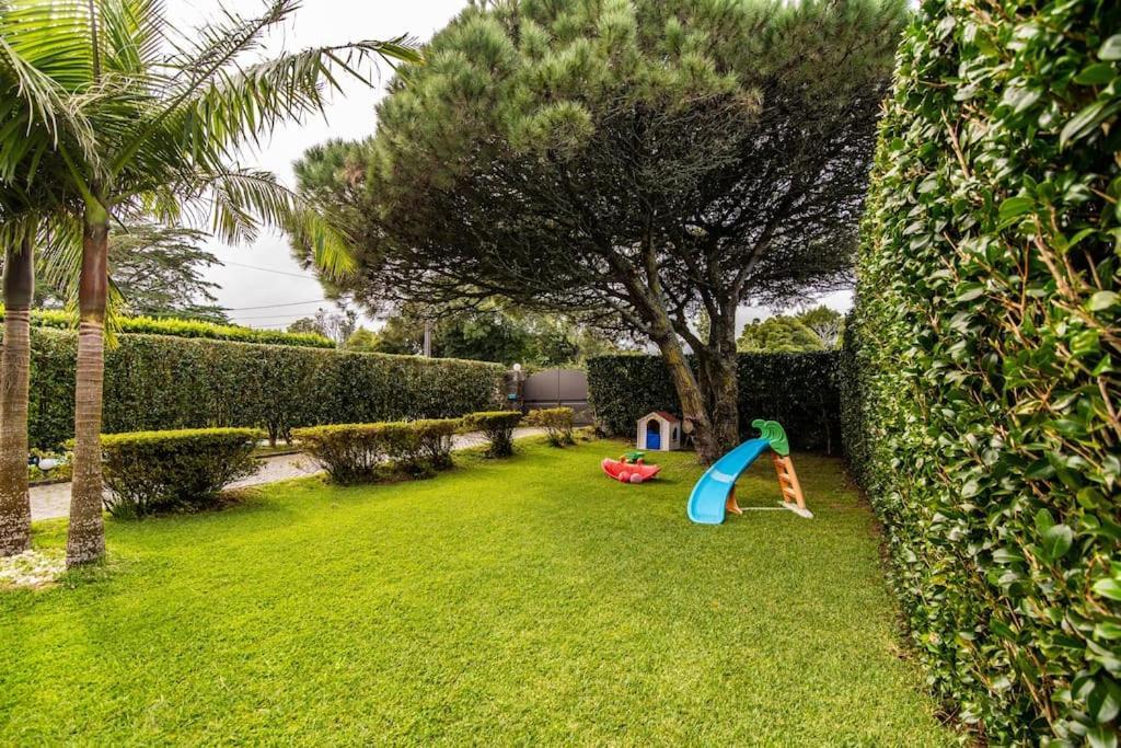 Apartamento Do Pinheiro Сан-Висенти-Феррейра Экстерьер фото